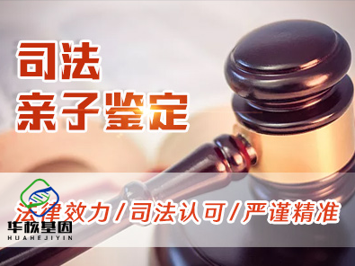 中山博爱医院能做亲子鉴定吗？